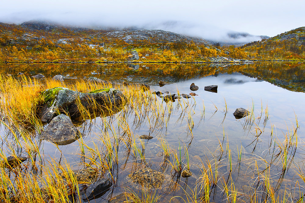 Bjørnfjellet