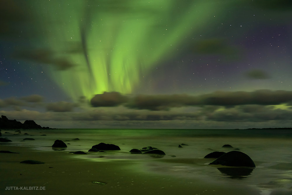 Polarlicht - Lofoten