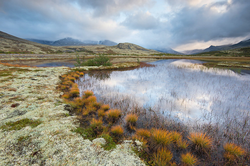 Herbst im Rondane Nationalpark