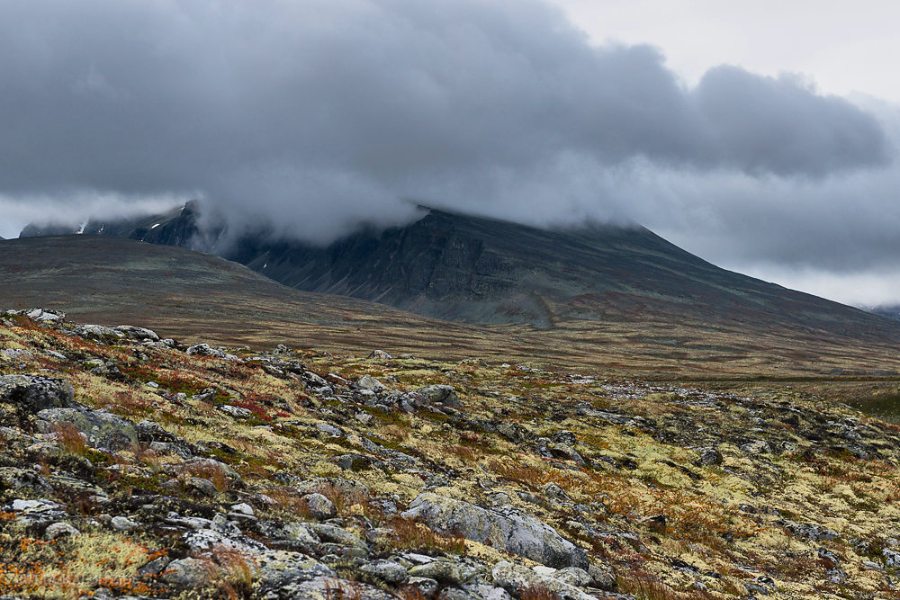 Herbst im Rondane Nationalpark