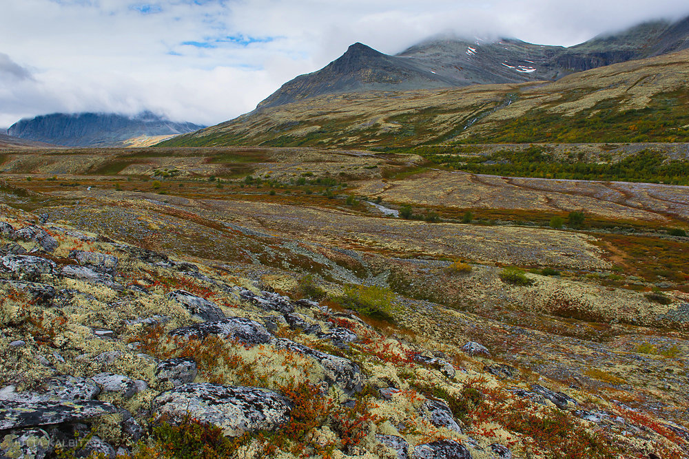 Herbst im Rondane Nationalpark