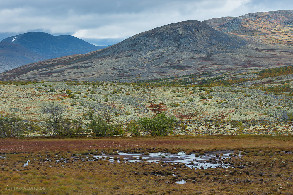 Herbst im Rondane Nationalpark