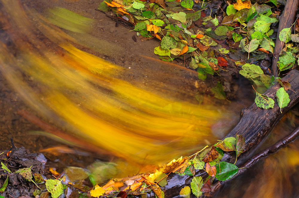"Herbst im Fluss"