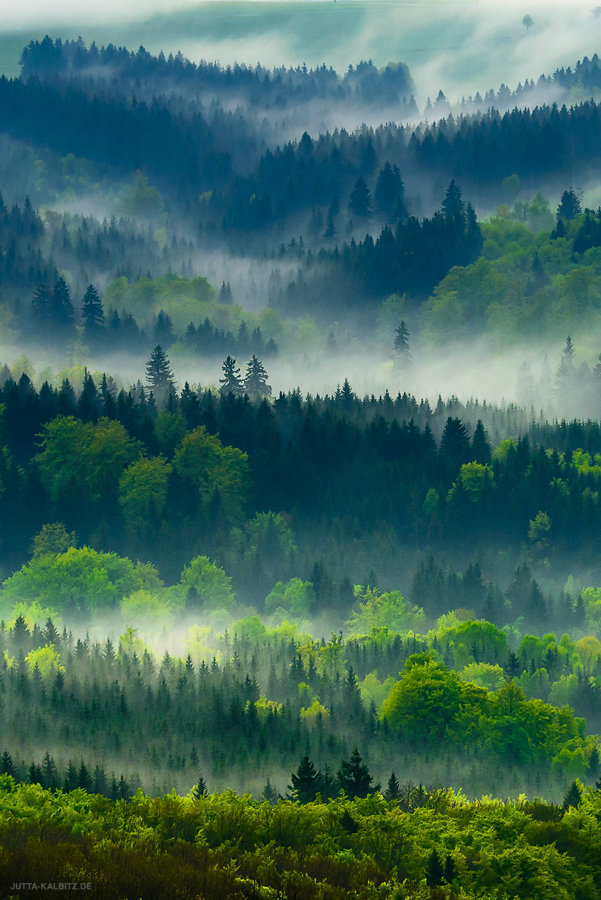 Nach dem Frühlingsgewitter - Rhön