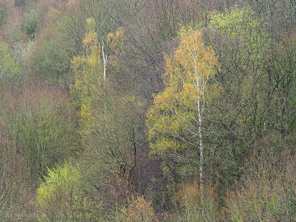 Frühlingsbeginn - Saaletal