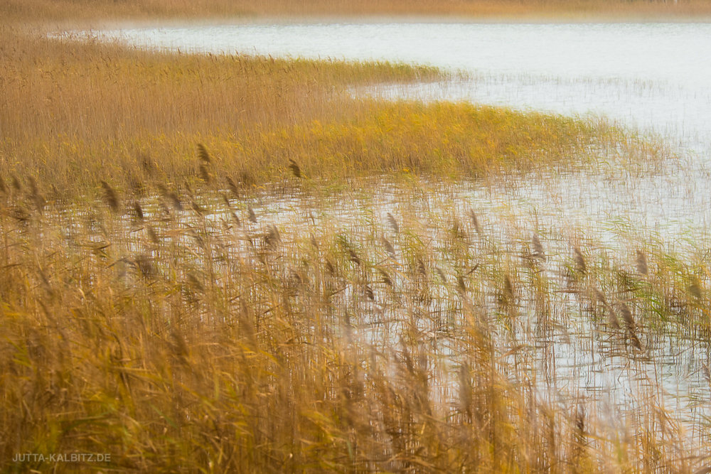 "Herbst am See" (kamerainterne Doppelbelichtung)