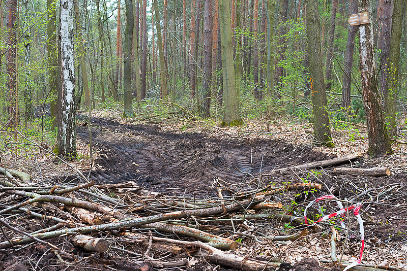 Doelauer-Heide-1-4.JPG