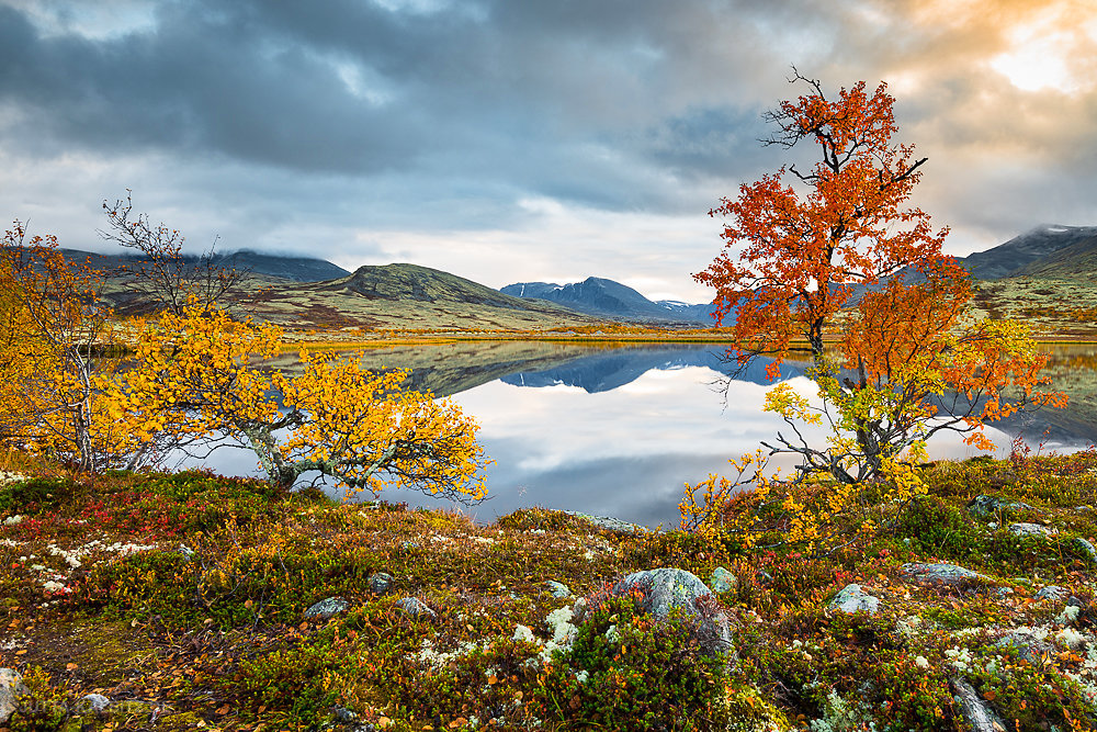 Rondane-1.JPG