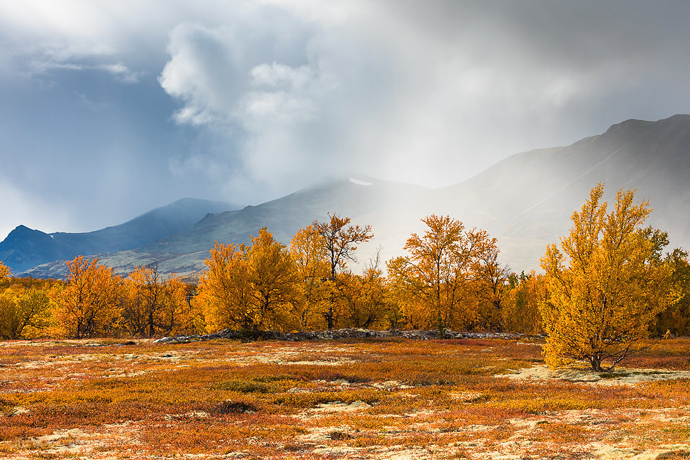 Rondane-2.JPG