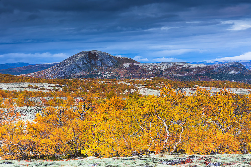 Rondane-4.JPG