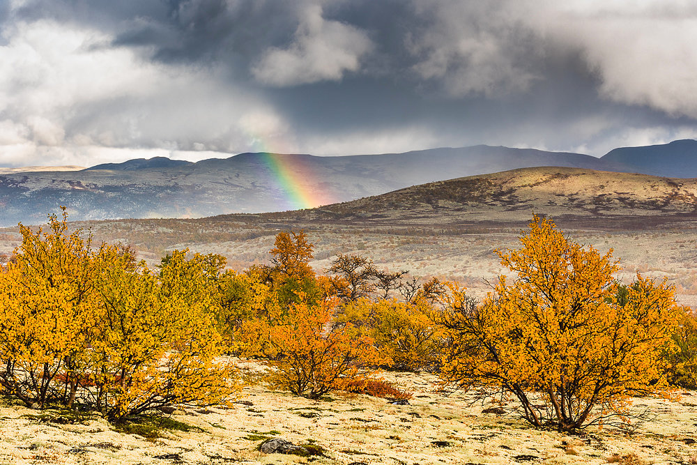 Rondane-5.JPG