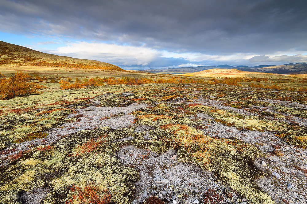 Rondane-7.JPG