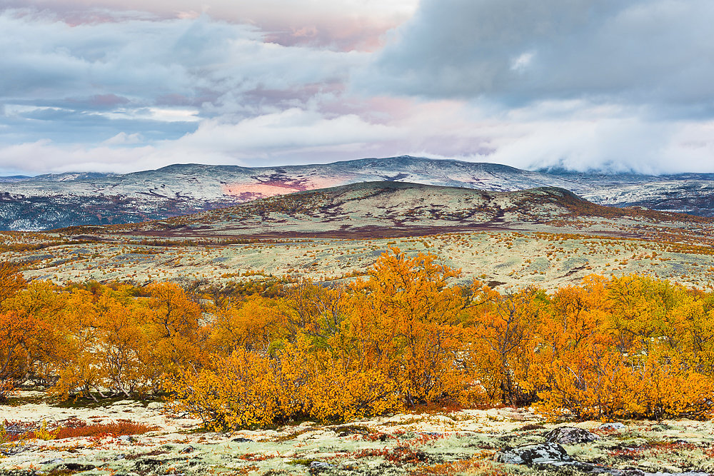 Rondane-8.JPG