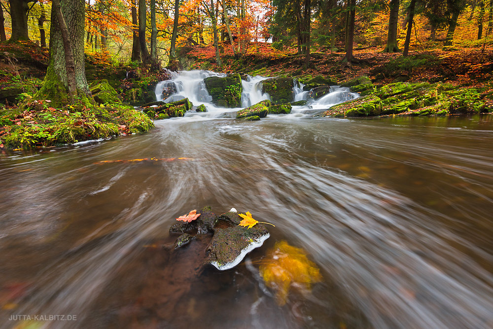 Herbst an der Selke - Harz