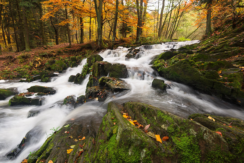 Herbst an der Selke - Harz