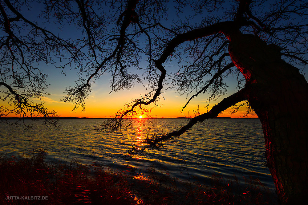 Dezemberabend - Jasmunder Bodden