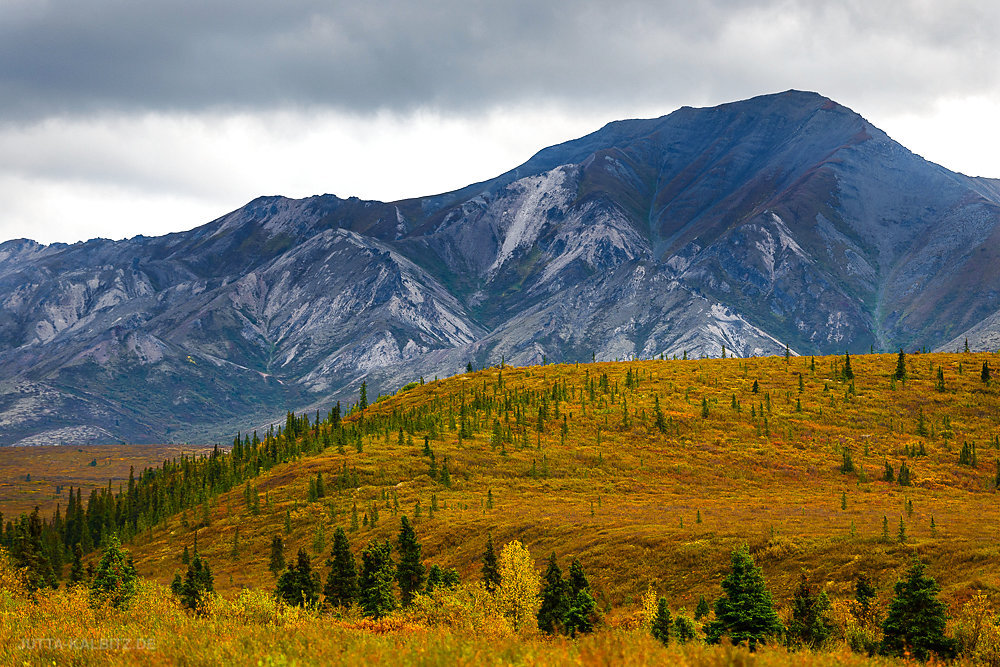 Im Denali Nationalpark