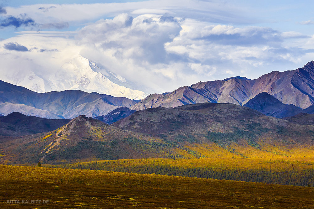 Im Denali Nationalpark