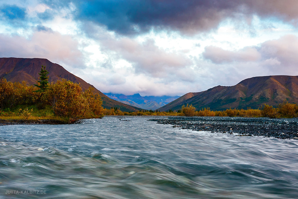 Savage River - Denali Nationalpark