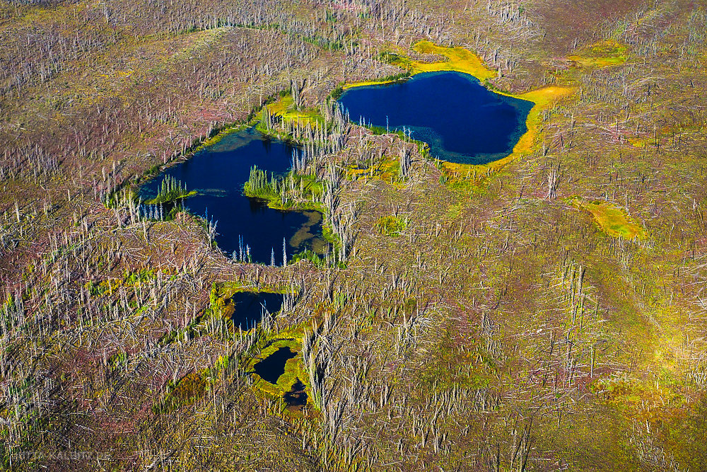 Wrangell - St. Elias Nationalpark (aerial)