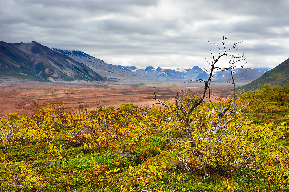 Valley of Ten Thousand Smokes - Katmai Nationalpark