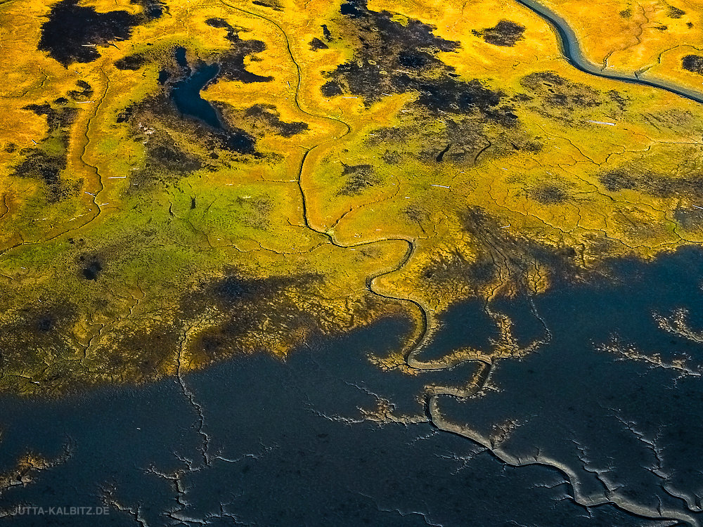 Wetlands bei Anchorage (aerial)