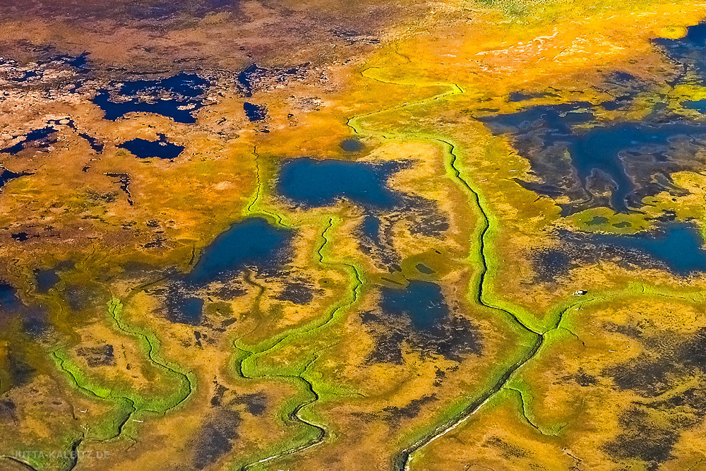 Wetlands bei Anchorage (aerial)
