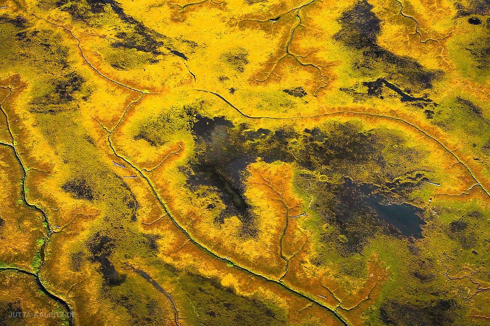 Wetlands bei Anchorage (aerial)