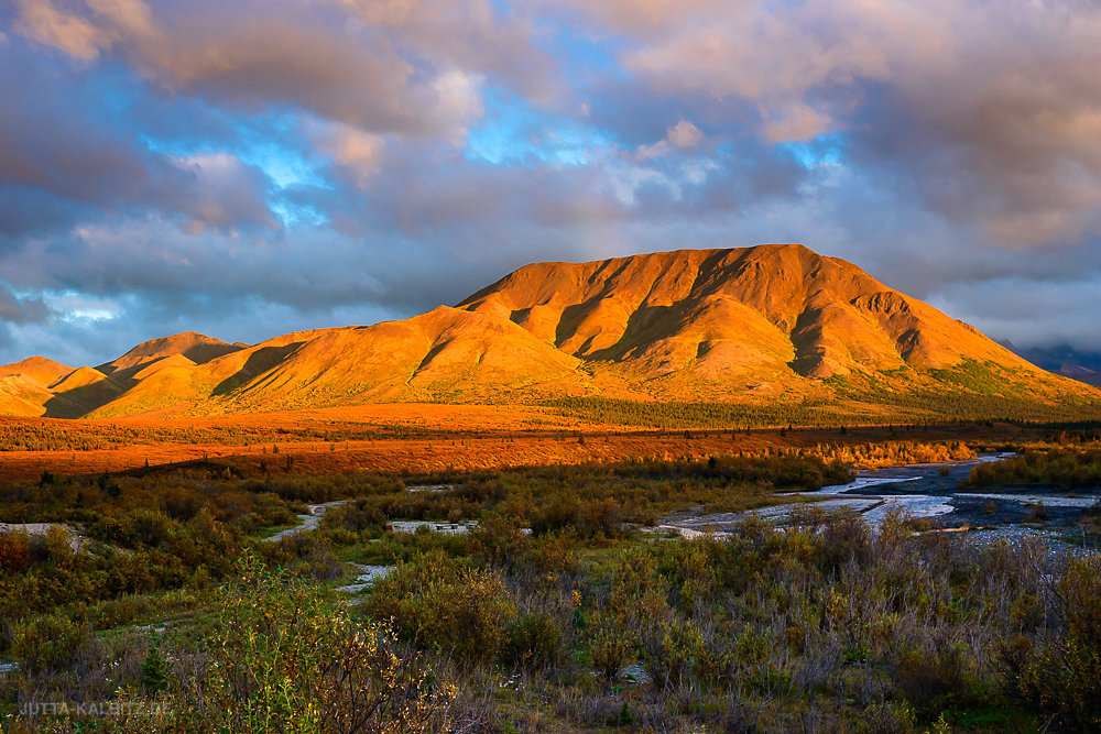 Am Savage River - Denali Nationalpark