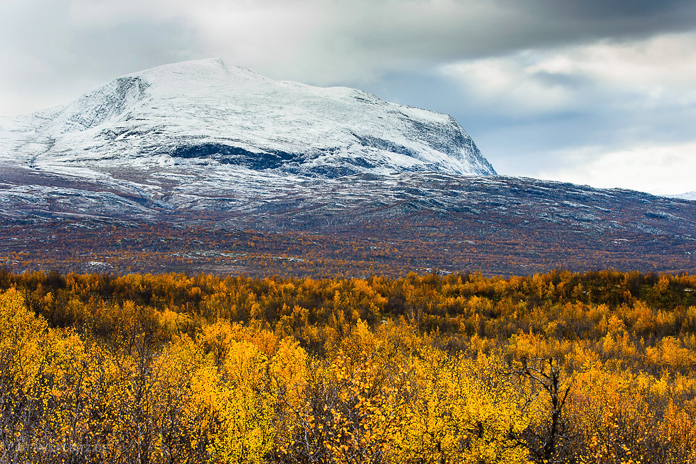 Abisko Nationalpark