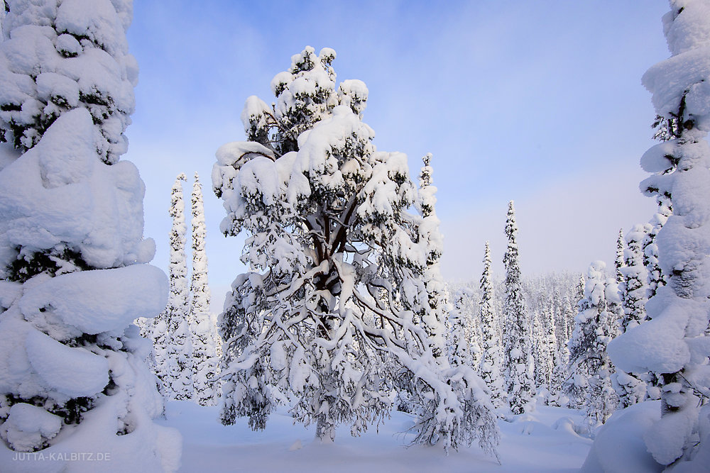 Äkäskero - Finnland