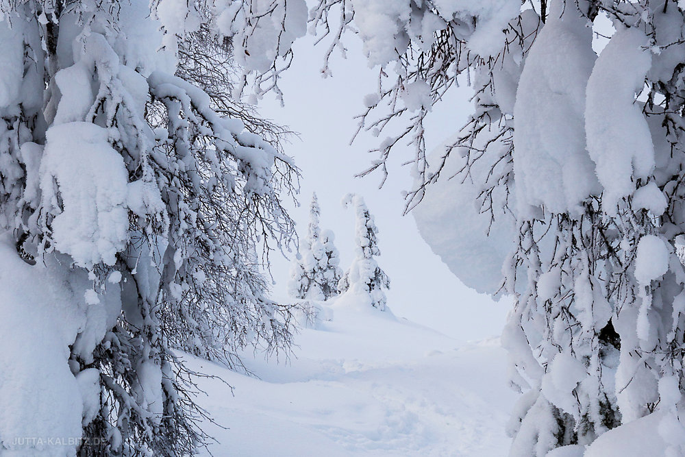 Äkäskero - Finnland