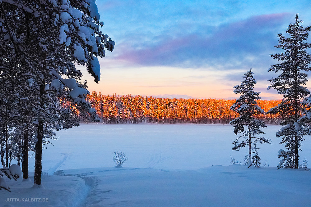 Am Metsehallitus - Finnland