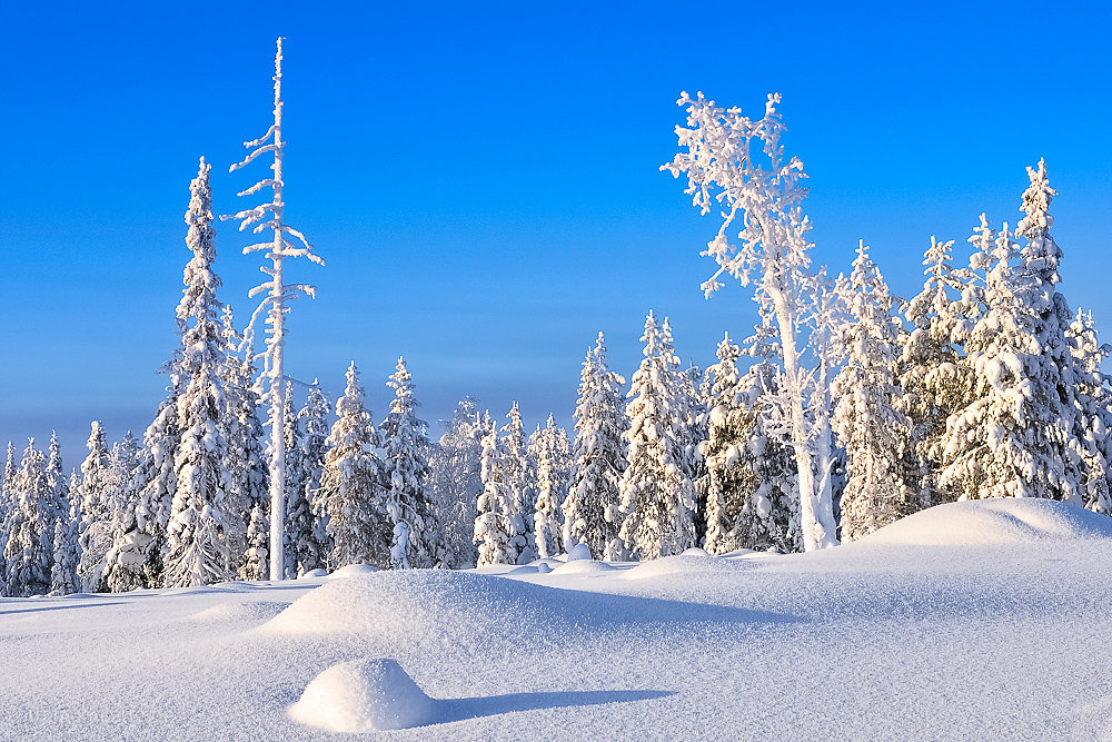 "Der perfekte Wintertag" - Finnnland