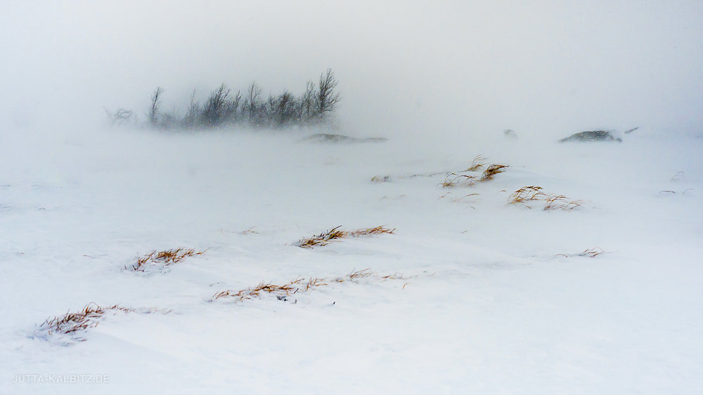 Schneesturm - Abisko Nationalpark