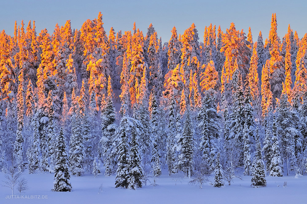 Kuusijärvi - Finnland