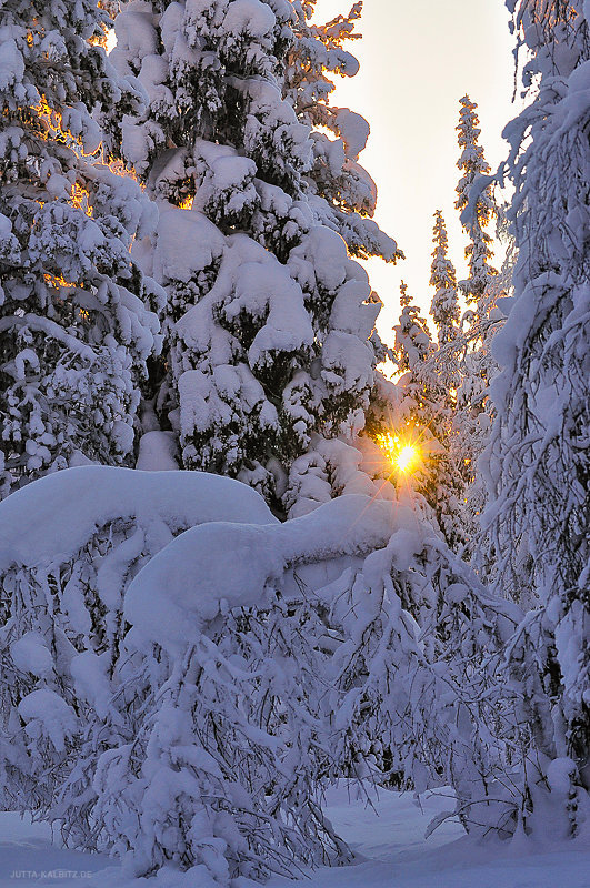 Kuusijärvi - Finnland