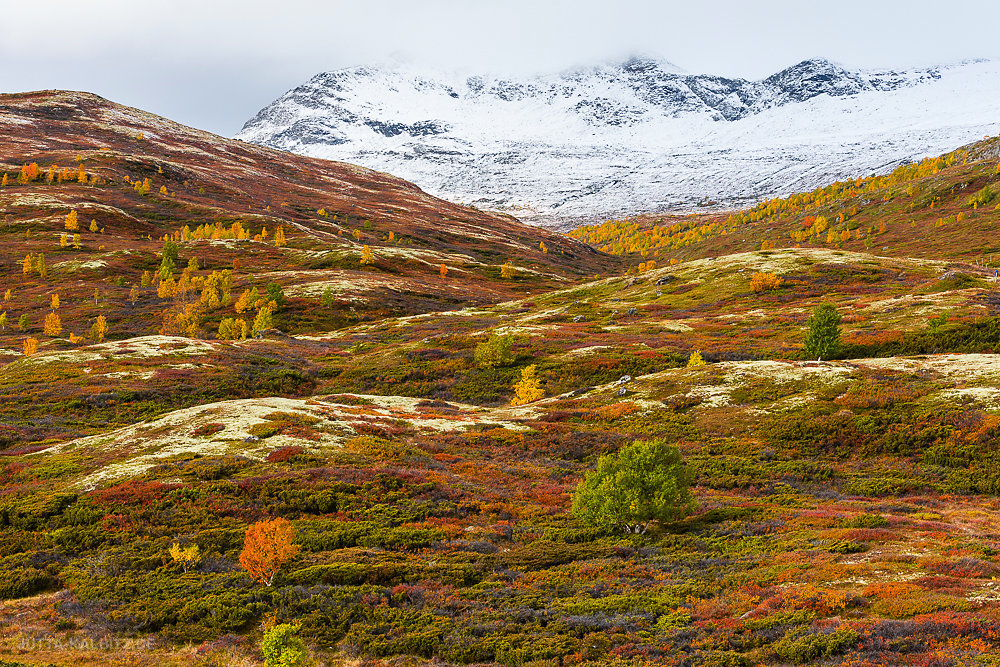 Rondane Nationalpark