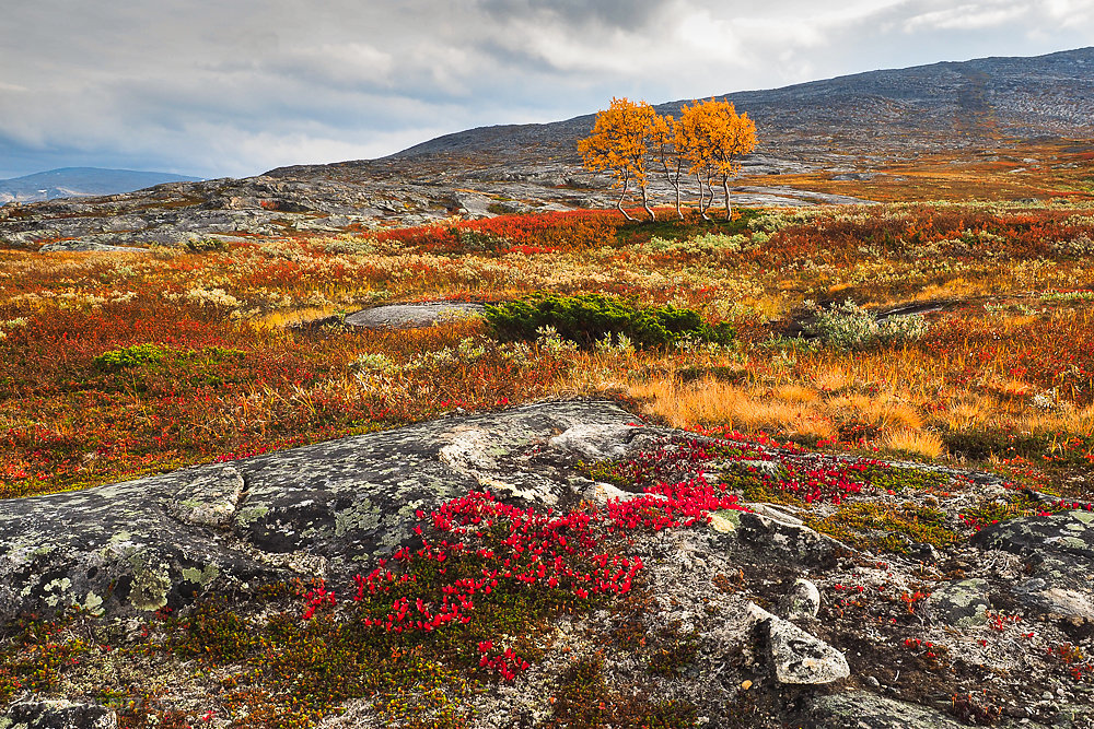 September im Saltfjell