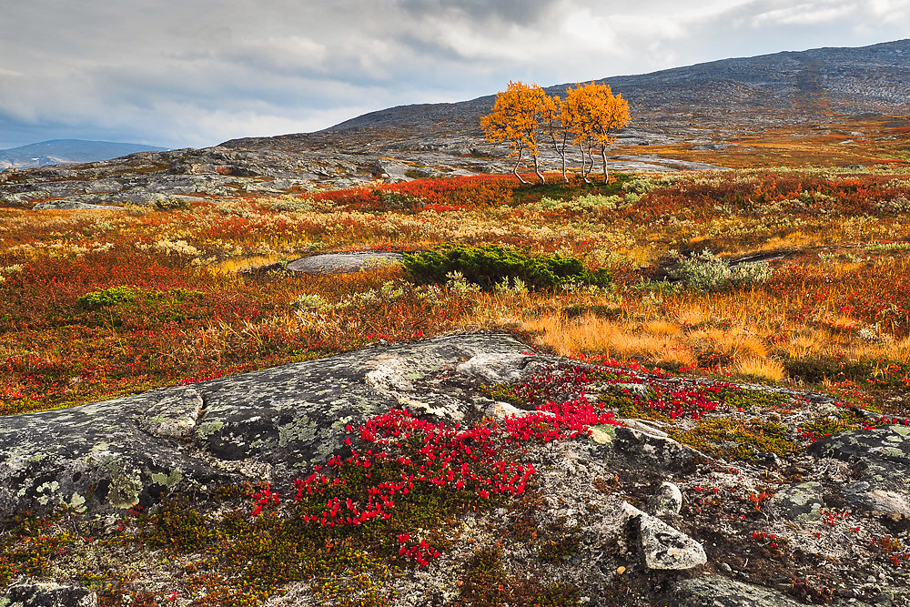 September im Saltfjell