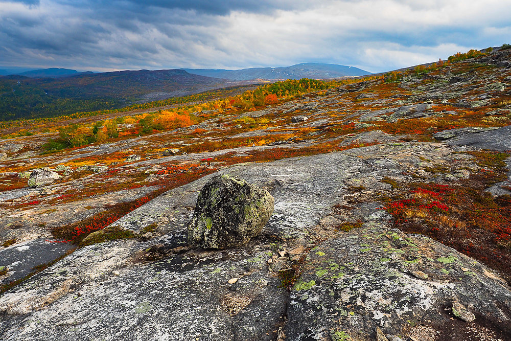 September im Saltfjell