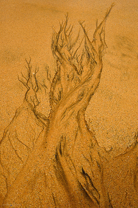 Island-1.JPG