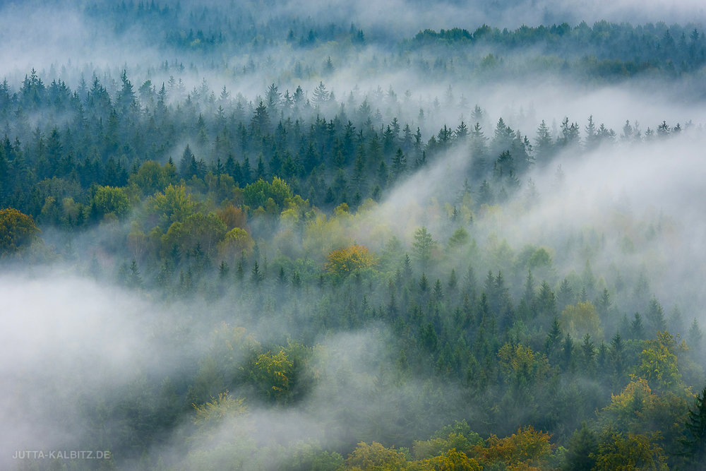 Spätsommer im Elbsandsteingebirge