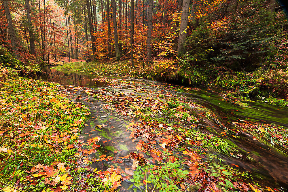 An der Kirnitzsch