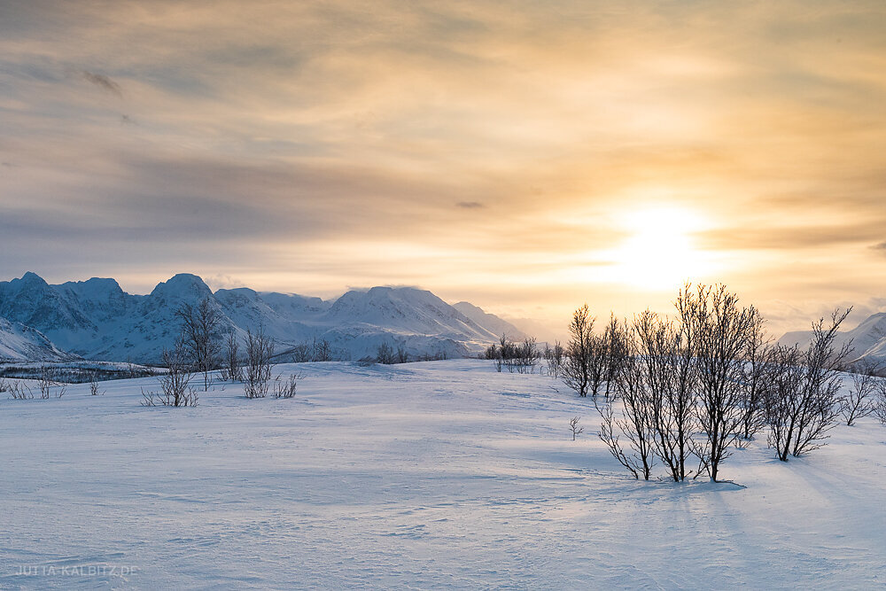 Blog-Norwegen-2020-11.JPG