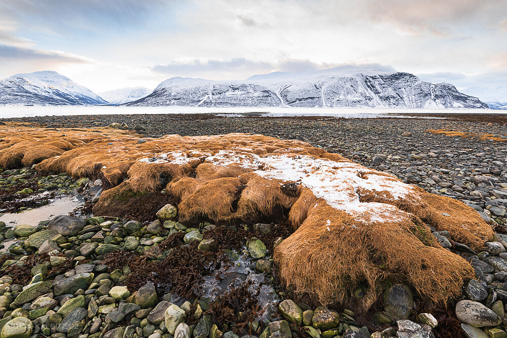 Blog-Norwegen-2020-16-1.JPG