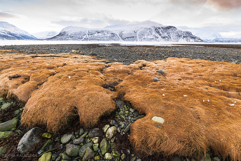 Blog-Norwegen-2020-16-2.JPG