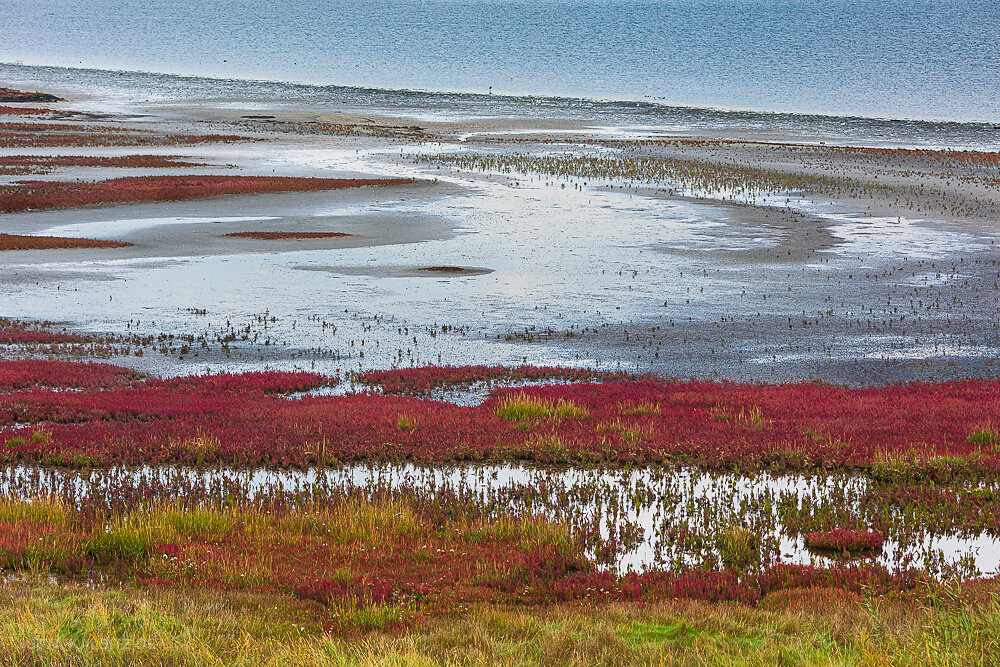 Wattenmeer-3b.JPG