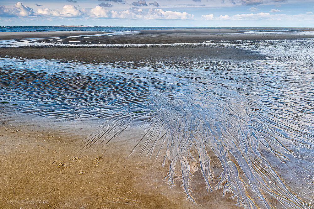 Wattenmeer-3c.JPG