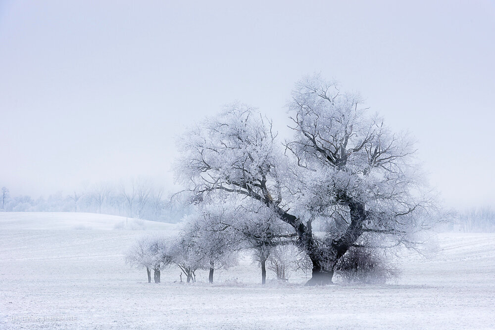 Winter am Stadtrand - Halle